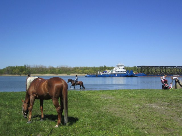 image 00000052-jpg