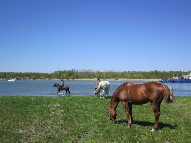 image 00000053-jpg
