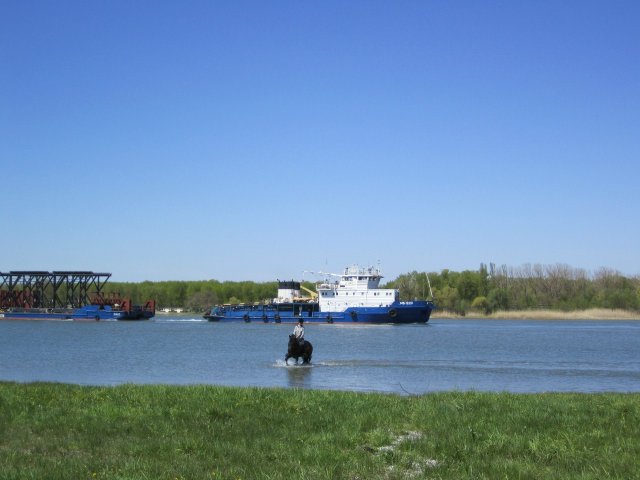 image 00000055-jpg