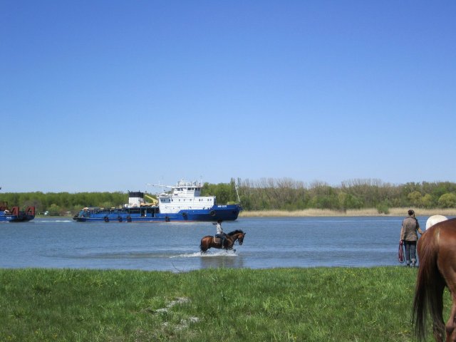 image 00000056-jpg