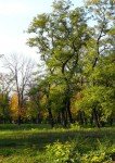 image park_big_thumb-jpg