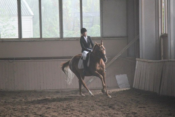 image 00000012-jpg