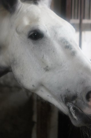 image 00000092-jpg