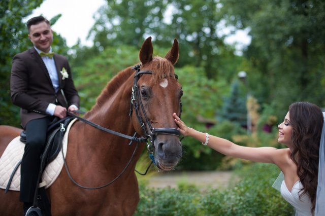 image 00000007-jpg