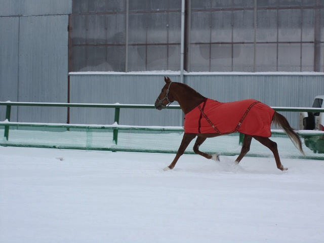 image 00000007-jpg