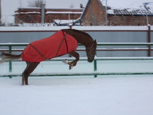 image 00000008-jpg