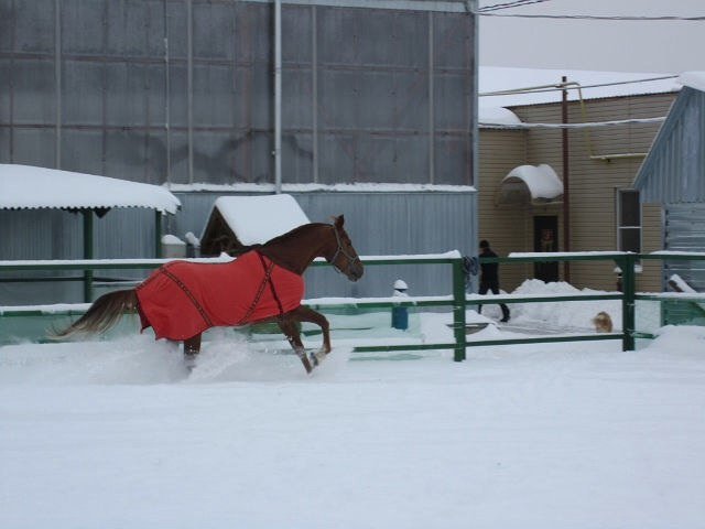 image 00000009-jpg