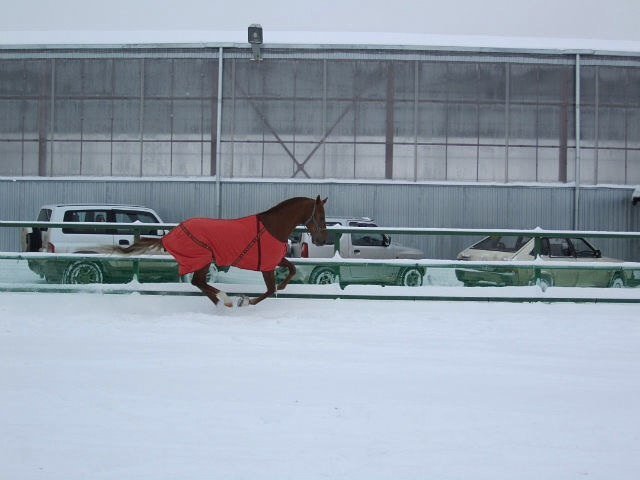 image 00000010-jpg