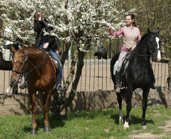 image getimage-3-jpg