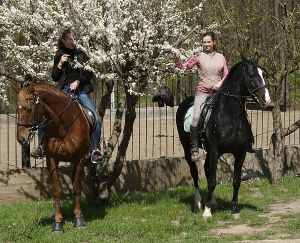 image getimage-4-jpg