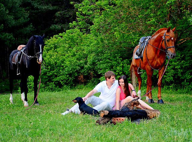 romanticheskoe-svidanie-s-fotosessiej. image romanticheskoe-svidanie-s-fotosessiej-_-jpg